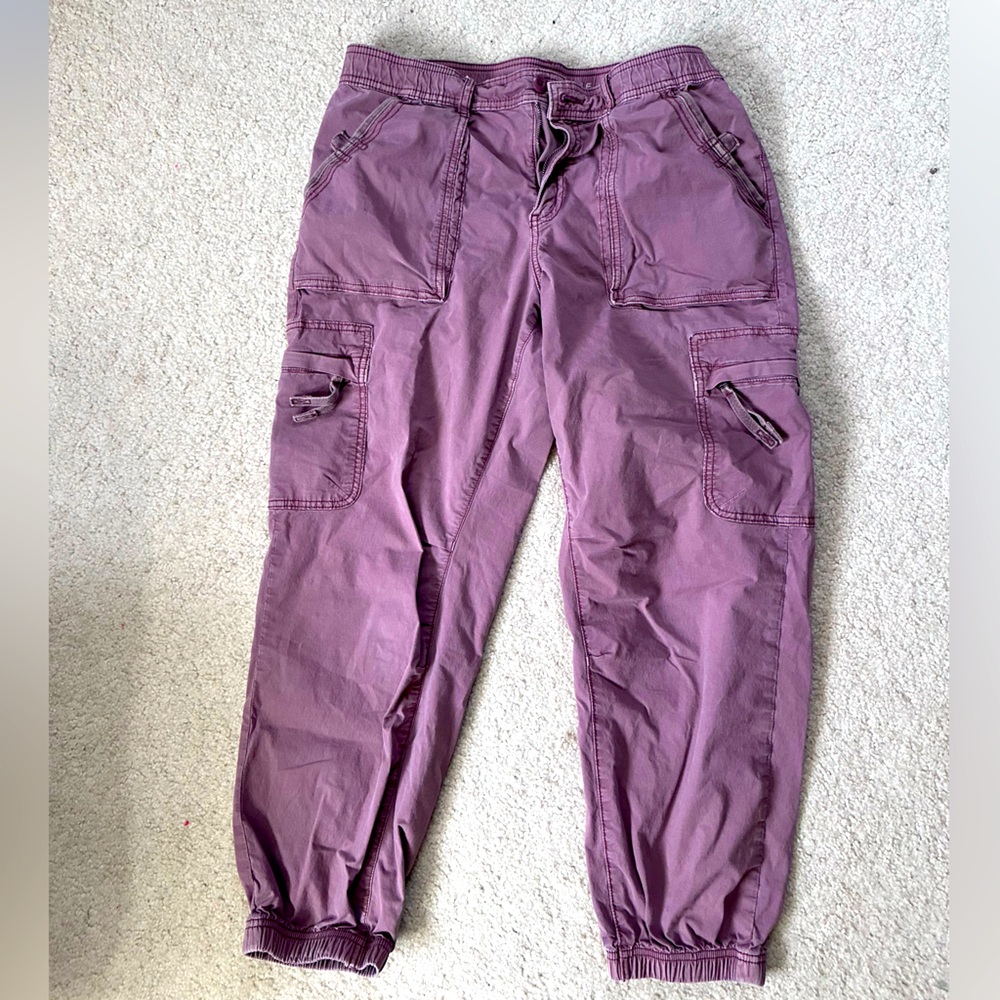 American Eagle Outfitters Snappy Stretch Baggy Cargo Jogger 10 Short